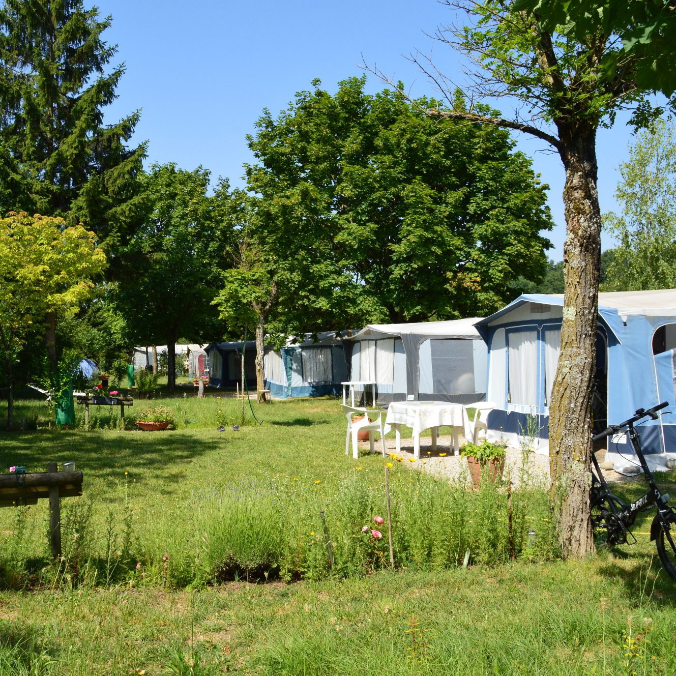 Un camping verdoyant avec des mobil-homes et des arbres autour.